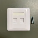 86*86 Ethernet Internet Connection Dual Ports Switch Wall Plate White Network Blank RJ45 Faceplate 86 Type 2 Port Face Plate - Image 2